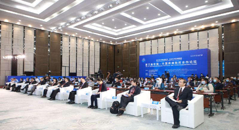 星耀国际官方网站图片